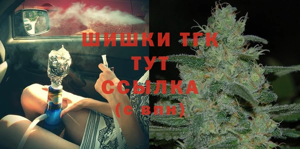 гидра Лагань