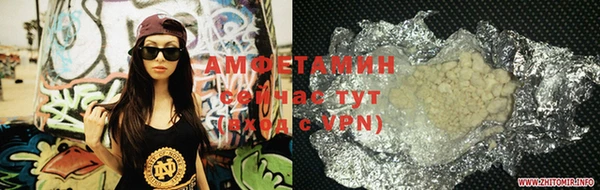 гидра Лагань