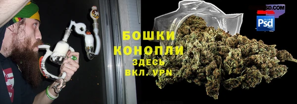 гидра Лагань